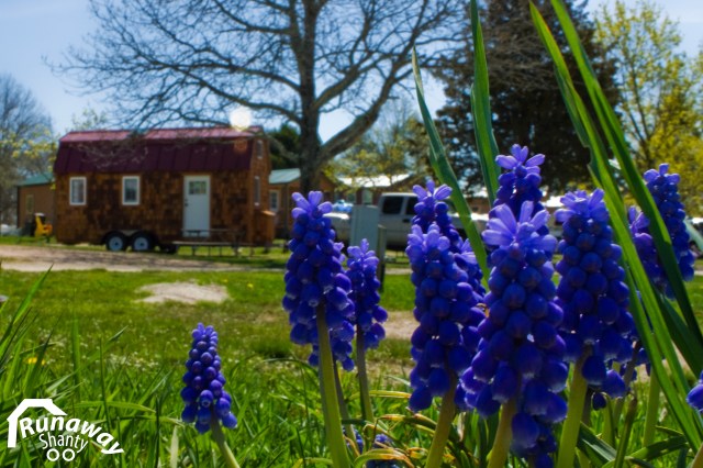 We love tiny houses and spring flowers!